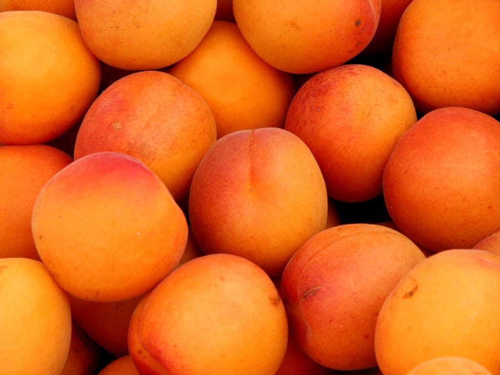 Apricots. Credit: Dennis Hill