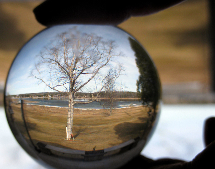 Adaptive management is almost like having a crystal ball. Credit: Kate Ter Haar.