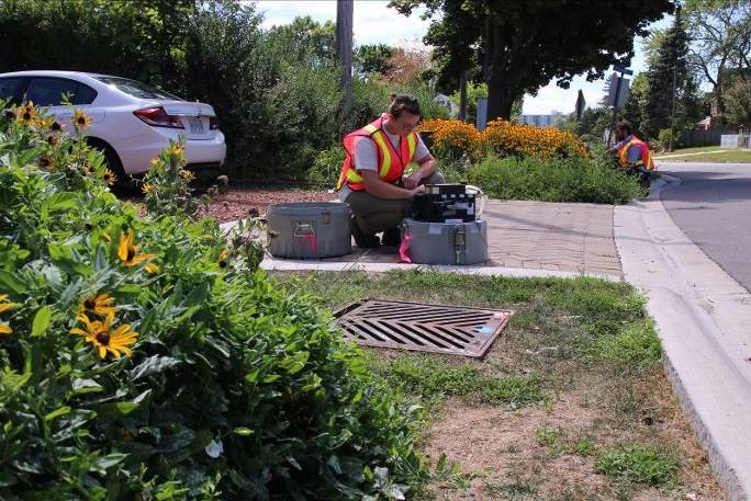 CVC staff monitoring roadside green infrastructure within a residential neighborhood. Green infrastructure helps recreate the natural water cycle in an highly urban environment. Credit: CVC