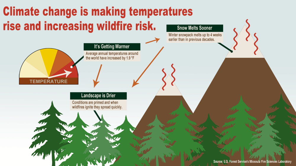 A graphic showing how increases in temperatures impact wildfire risk. Credit: US Forest Service Missoula Fire Sciences Laboratory 