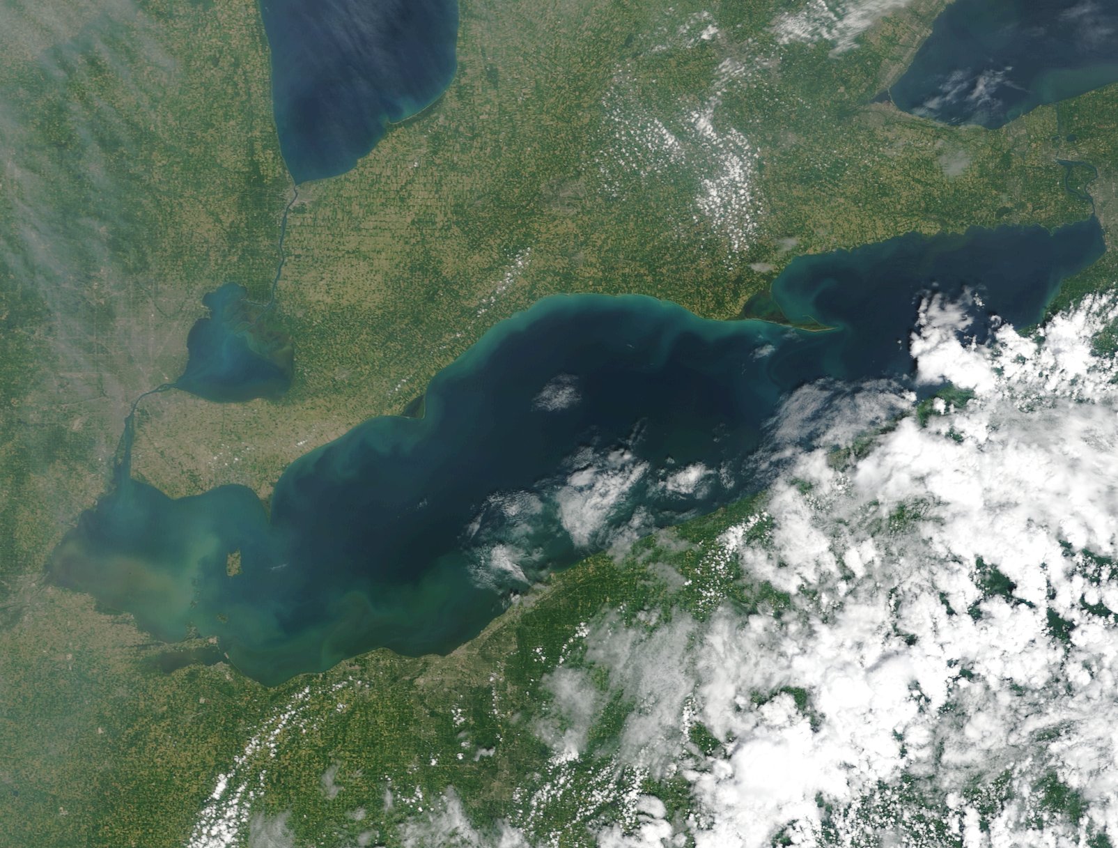 A satellite view of Lake Erie on July 6, 2015. Credit: NOAA/MODIS