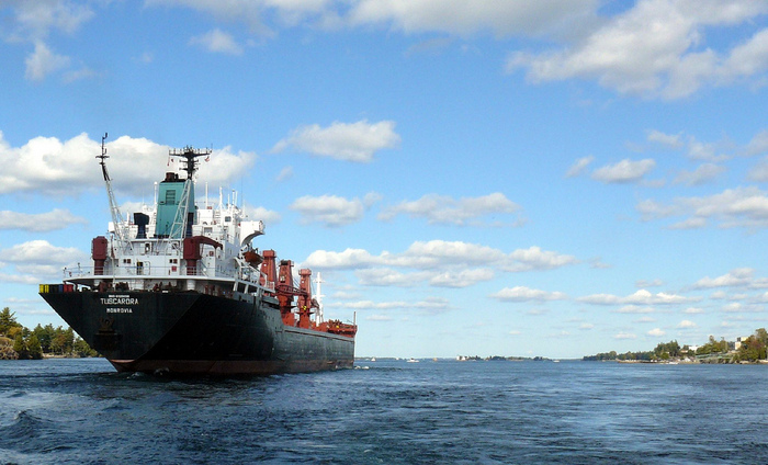 A ship on the St. Lawrence Seaway. Credit: K. Mukherjee.