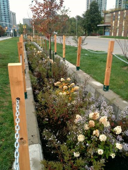 This green infrastructure project is located on school property and treats roadside runoff.  Monitoring of this site showed a 70 percent reduction in nutrient loadings. Credit: CVC