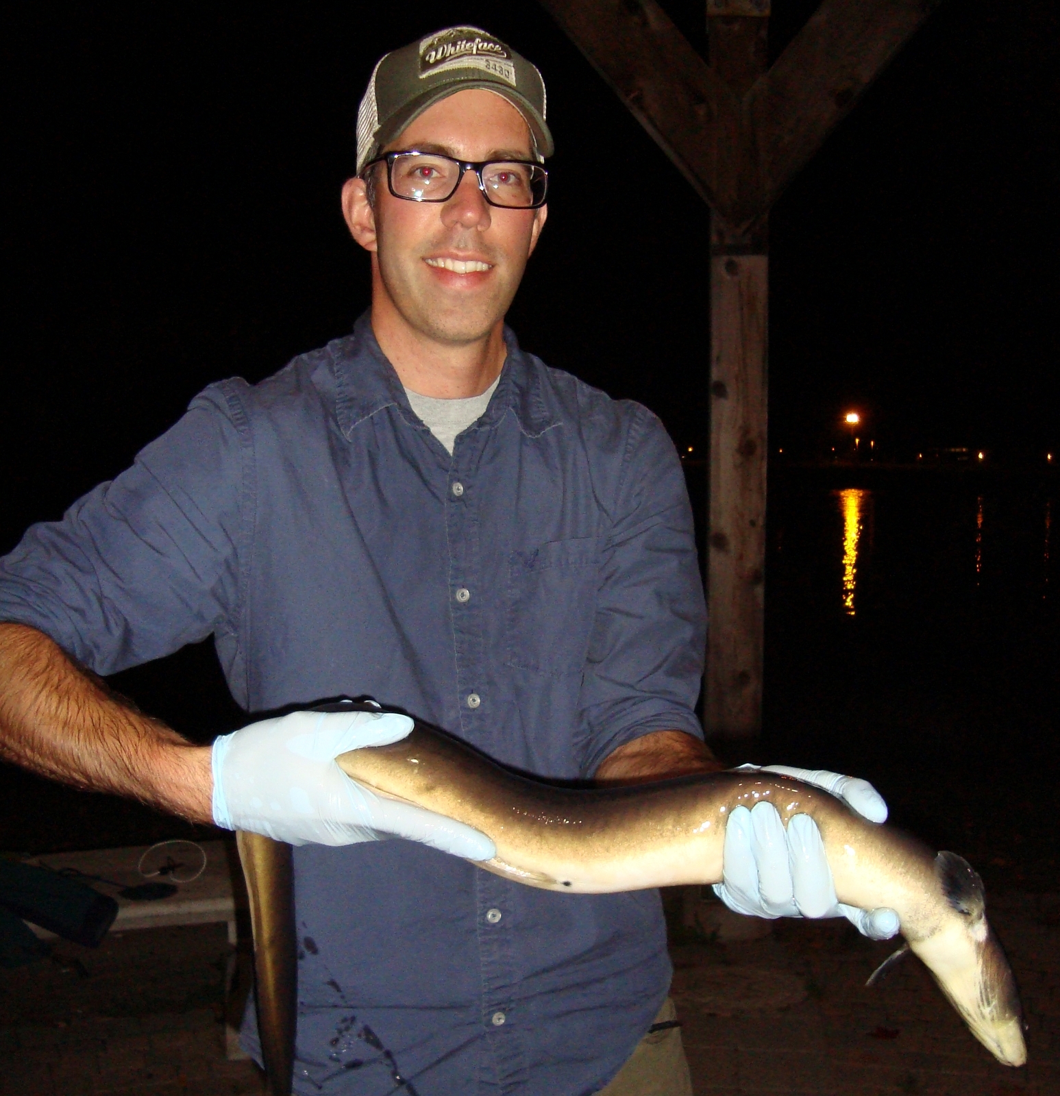 M. Windle avec une anguille d’Amérique. Photo : Matt Windle. 