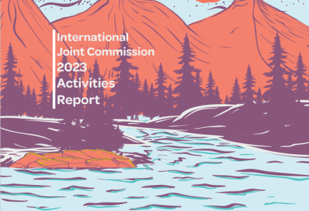 Cover image of the IJC's 2023 Activities Report