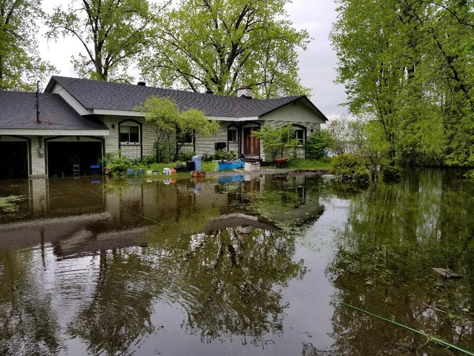 Figure 15:  St. Lawrence River at Lake St. Louis, Maple Grove, Quebec, 2 June 2019 (source:  International Joint Commission)