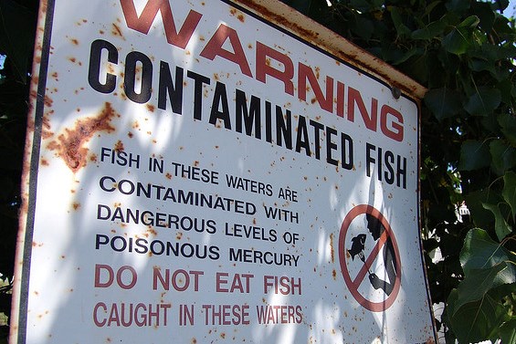 fish consumption warning sign 