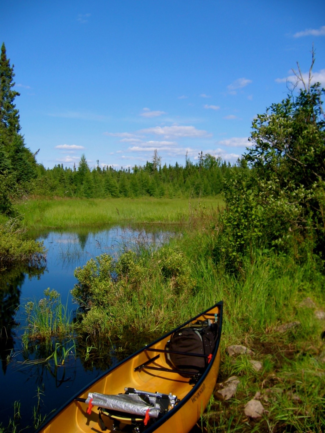 A canoe on the bank at the Boundary Waters Canoe Area Wilderness. The area is just one region in Minnesota and Ontario where officials are working hard to keep invasive species out of the Rainy-Namakan system. Credit: US Forest Service