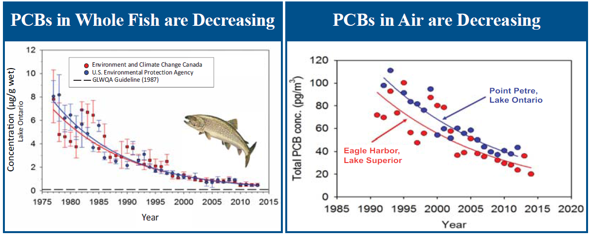 Graphiques illustrant les tendances des concentrations de BPC dans les poissons et l’atmosphère