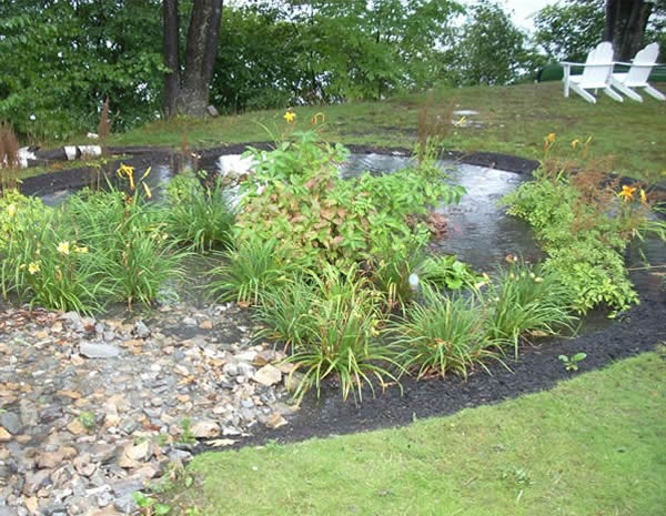 A rain garden can help soak up rain and hold onto the water until it seeps into the ground, while also helping plants. Credit: MA Watershed Coalition