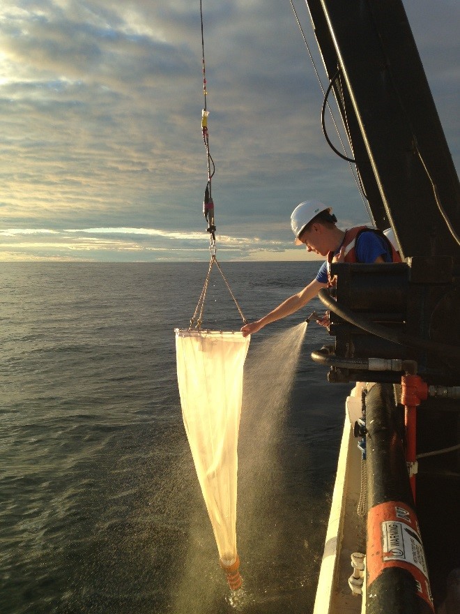 A scientist onboard R/V Lake Guardian rinses a zooplankton net to wash the catch into the collection bottle after a tow on the Lake Superior CSMI survey (Image Credit: U.S. EPA GLNPO). 