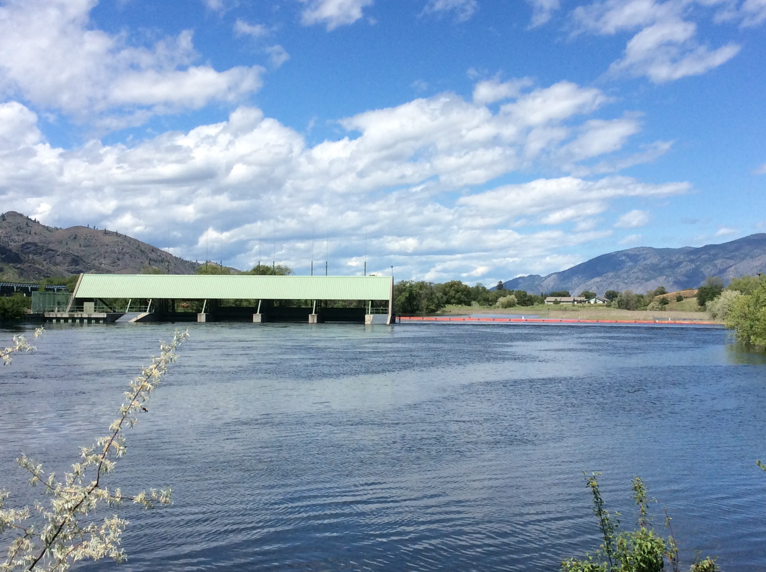 The spillway of Zosel Dam was inundated during floods in the Osoyoos Lake system in May and June, with water flowing over the top of it. Credit: Brian Symonds