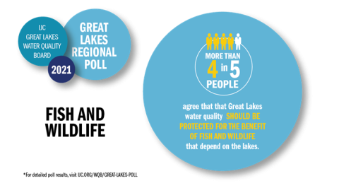 4 in 5 water quality board poll great lakes 2021