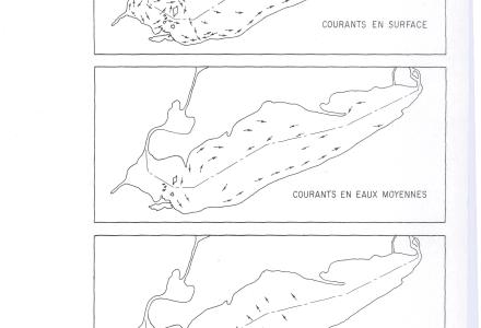 Dominant Movements of Lake Erie Water - Figure 3 - 1970-01-01