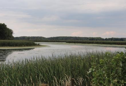 wetlands lake champlain flood water storage report