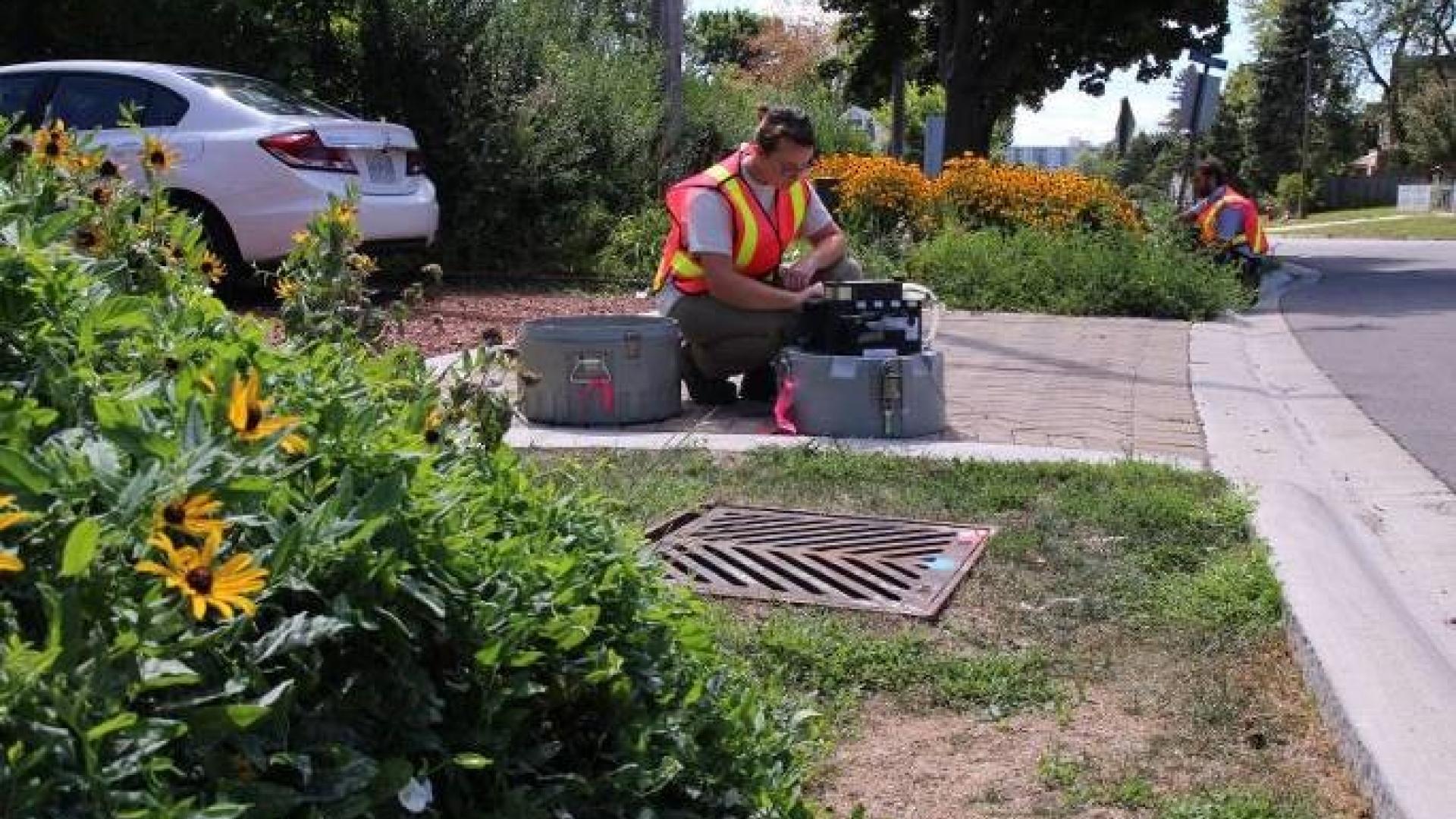 Water Matters - CVC Staff monitoring roadside green infrastructure