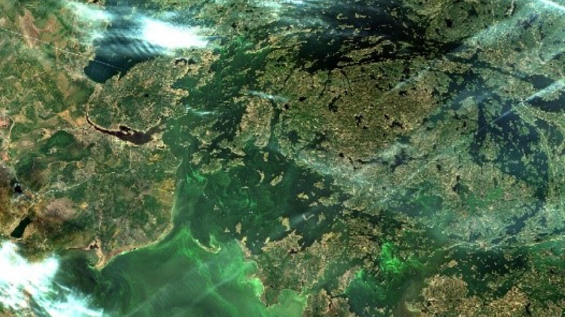 Water Matters - Satellite image of Algal Blooms in Lake of the Woods