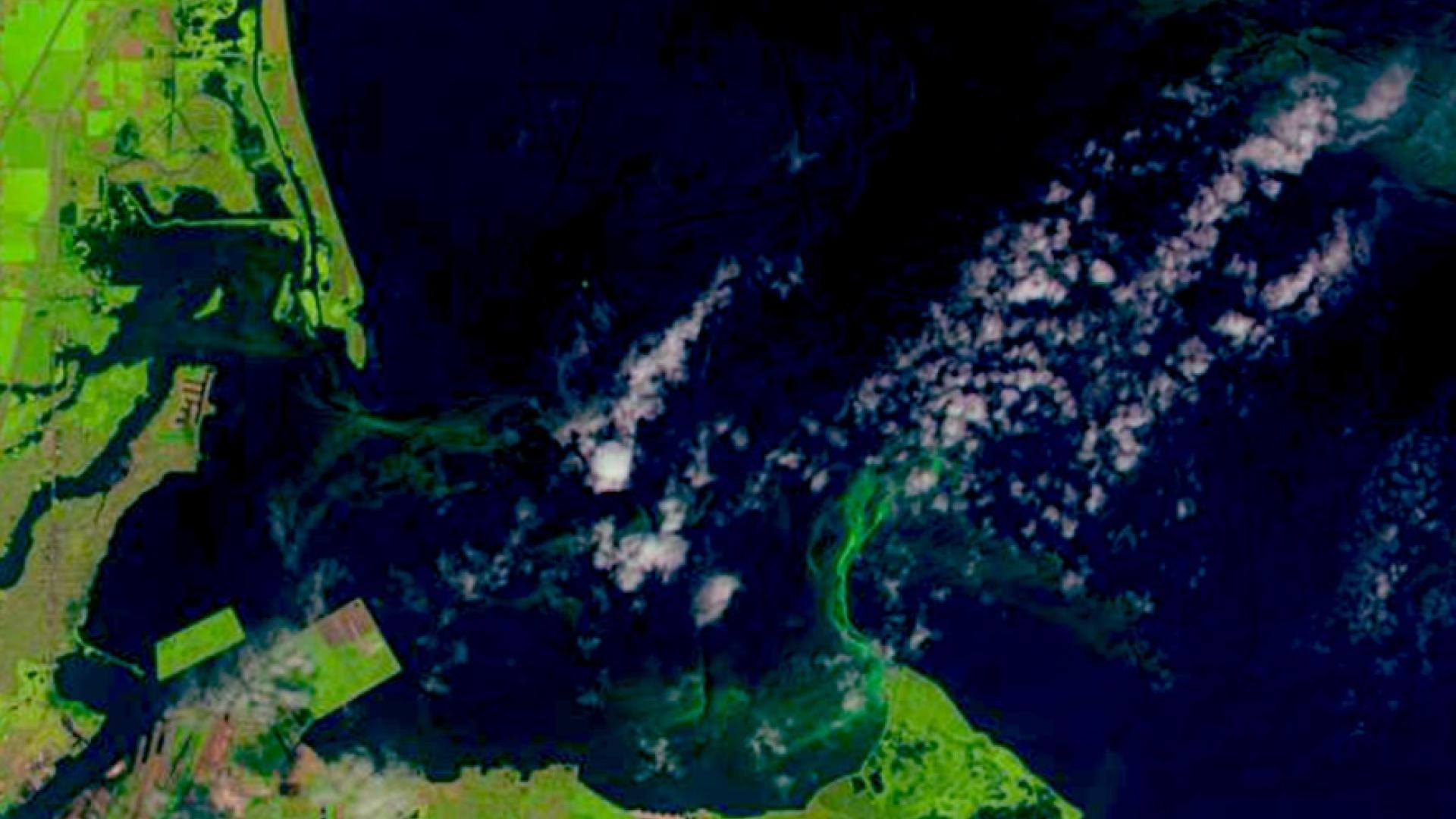 Water Matters - Satellite image of Lake Erie algal bloom, 2014